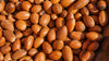 Huile Argan